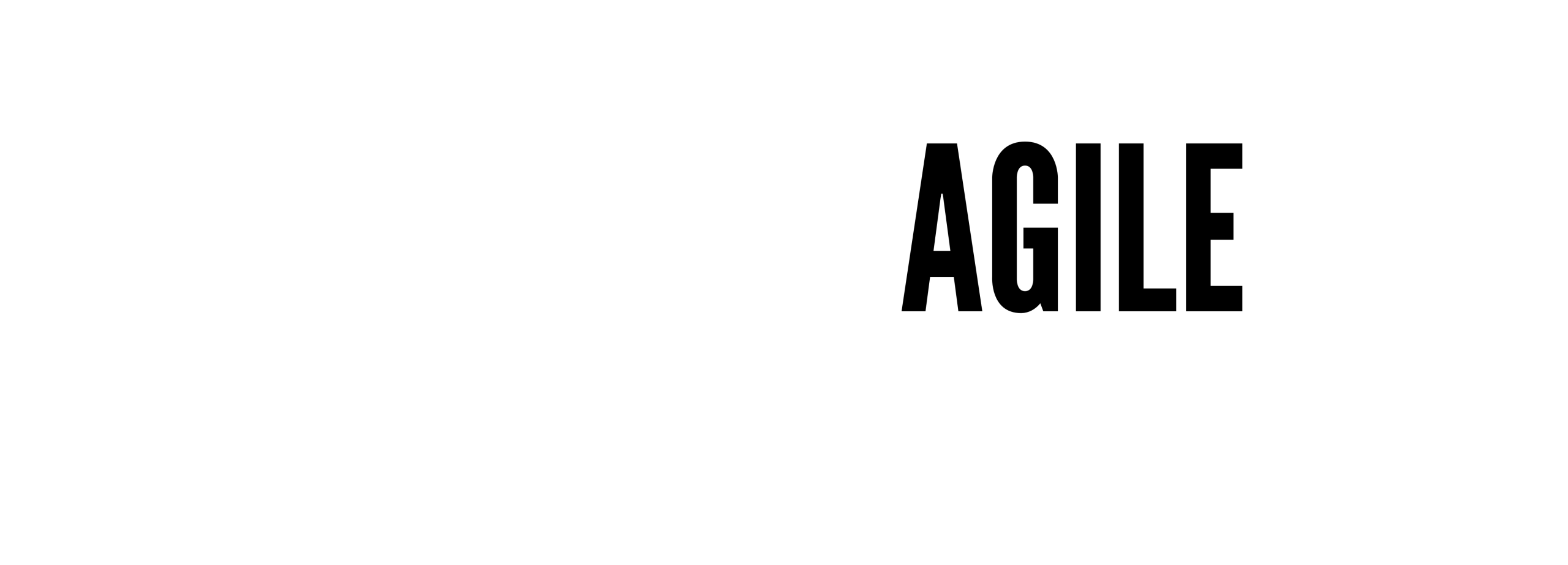 The Agile Workshopper